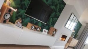 Contemporary Tropical Living Room