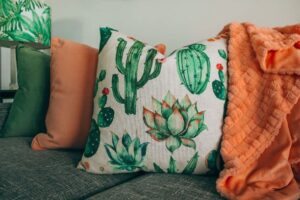 cactus cushion