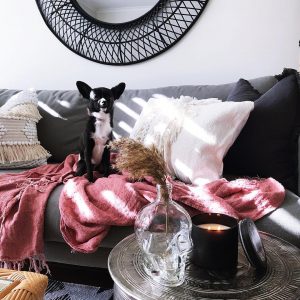 Lacey Gatti Stylist Living Room Image