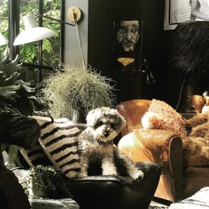 Abigail Ahern Instagram Image